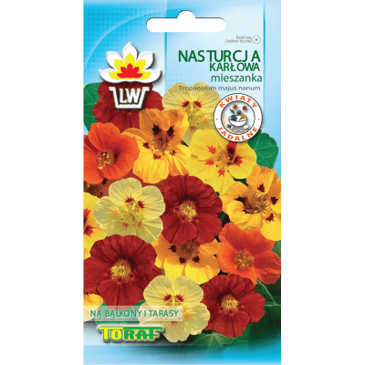 Nasturtium Dwarf