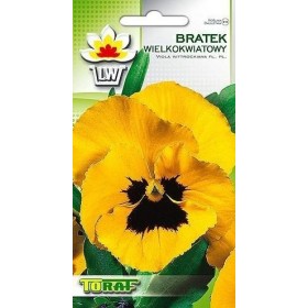 Tuinviooltje geel met vlek [t.h.t. 06.2025]