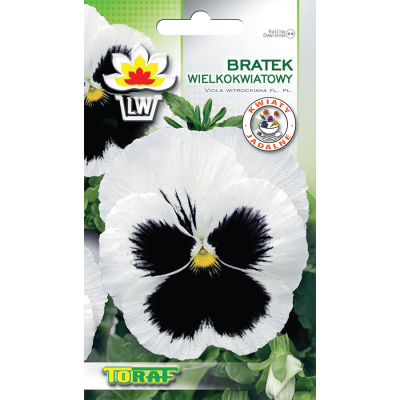 Pansy white with blotch