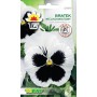 Pansy white with blotch