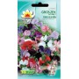 Welriekende lathyrus mix