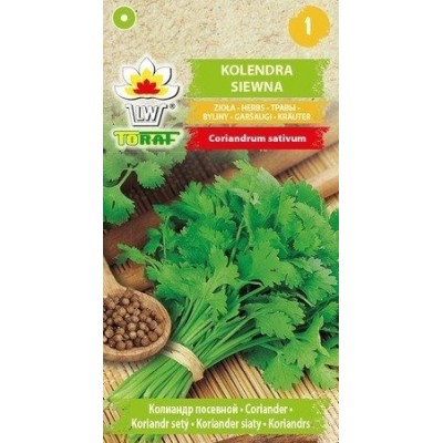 Coriander herb seeds