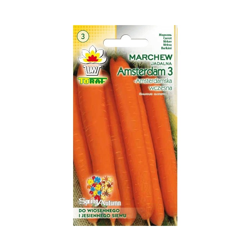 Carrot Amsterdam 3