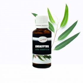 Eucalyptus olie essence