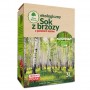 BIO sok z brzozy 3L