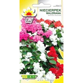 Balsamina Valerian (Impatiens) blend [t.h.t. 07.2025]