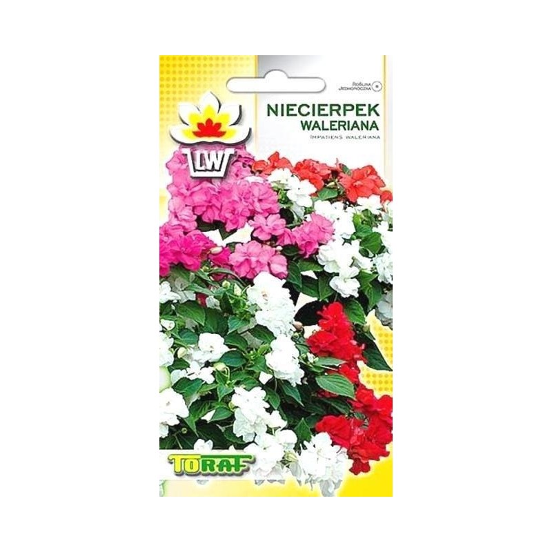 Balsamina Valerian (Impatiens) blend