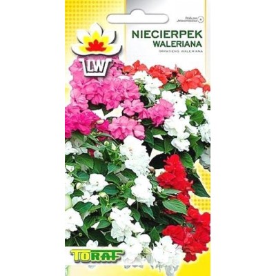 Balsamina Waleriana (Niecierpek) mieszanka [t.h.t. 07.2025]