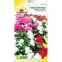 Balsamina Valerian (Impatiens) blend [t.h.t. 07.2025]