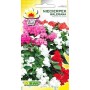 Balsamina Valerian (Impatiens) blend