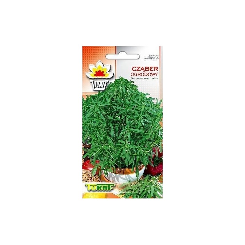 Summer savory seeds | Herbs seeds