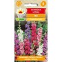 Summer Larkspur Annual Plant - Available at ietsGezond.nl