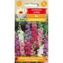 Rocket Larkspur mix