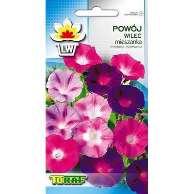 Klimmende winde (Ipomoea Purpurea) mix