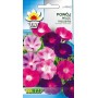 Klimmende winde (Ipomoea Purpurea) mix