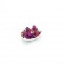 Gomphrena flowers edible [t.h.t. 09.2025]