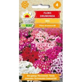 Phlox drummonda mixture