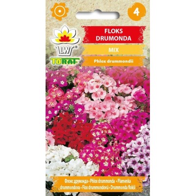 Phlox drummonda mixture