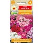 Floks drummonda mieszanka [t.h.t. eind 06.2025]