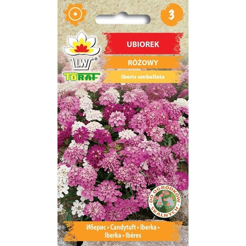 Scheefbloem roos