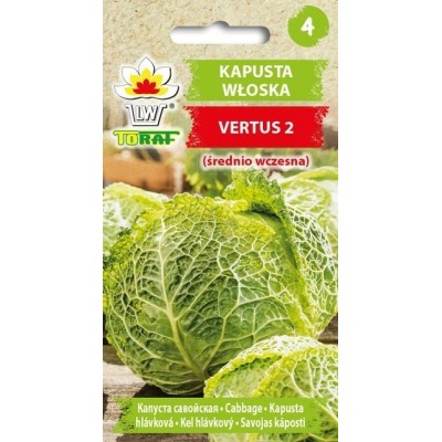 Savoy cabbage Vertus 2 | Vegetable seeds