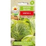 Savoy cabbage Vertus 2 | Vegetable seeds
