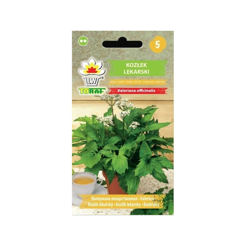 Valerian | Herbs seeds