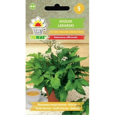 Buy Valerian Seeds - Gardening with IetsGezond.nl