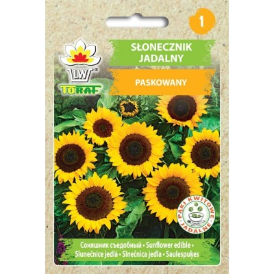 Sunflower striped edible seeds