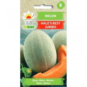 Versatile Melon Variety Suitable for Greenhouse and Open Ground | ietsGezond.nl