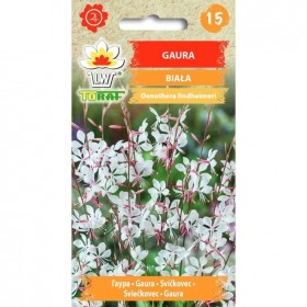 White gaura