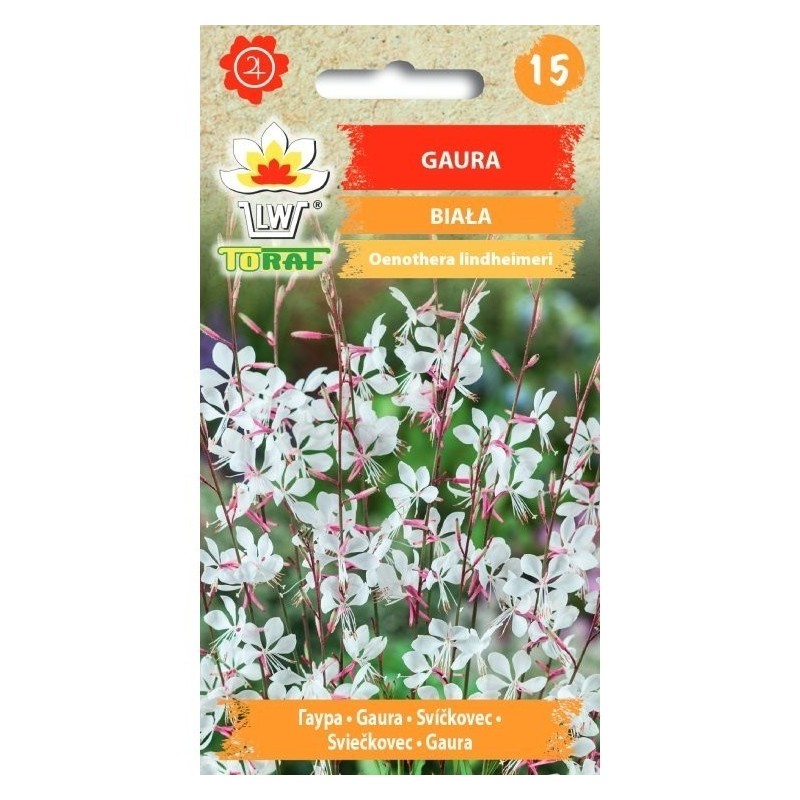 White gaura | Flower Seeds
