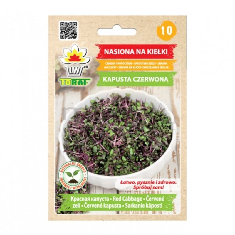 Kapusta czerwona | Nasiona na kiełki 10g