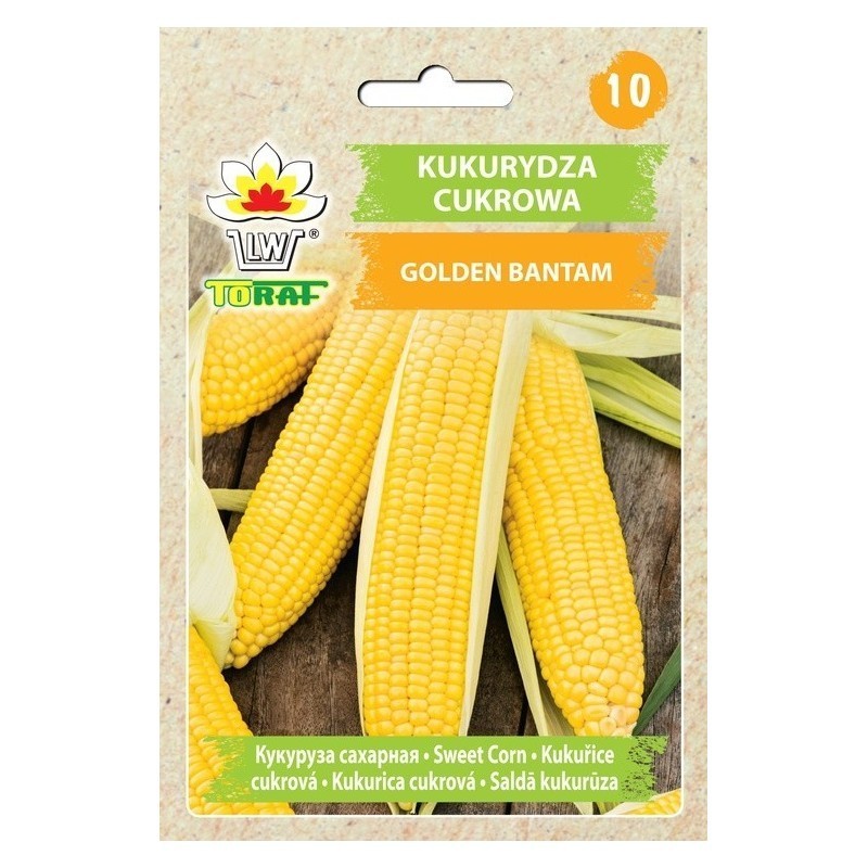 Golden Bantam sweetcorn | Vegetable seeds 20g