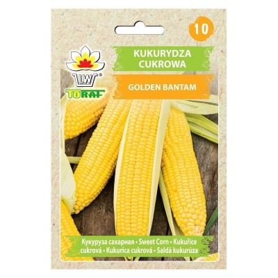 Golden Bantam sweetcorn