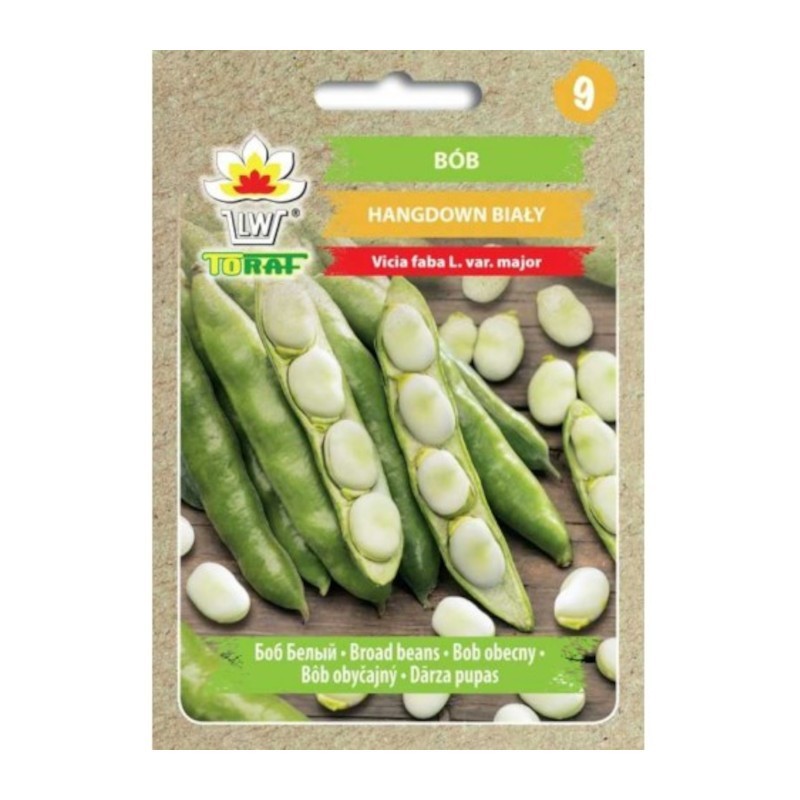 Broad beans Hangdown White | Vegetable seeds