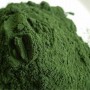 Spirulina powder | 100g