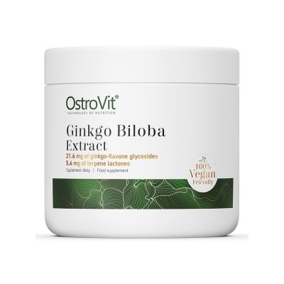 Ginkgo Biloba Extract | 555 porcji po 90mg | 50g proszek