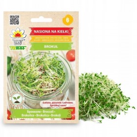 Sprout seeds broccoli