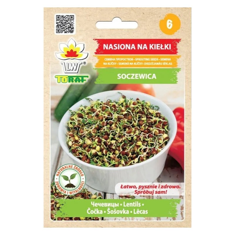 Soczewica | Nasiona na kiełki 20g