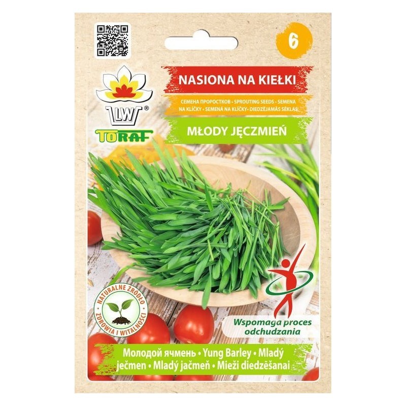 Młody jęczmień | Nasiona na kiełki 30g