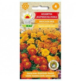 French Marigold Double Brocade Mix