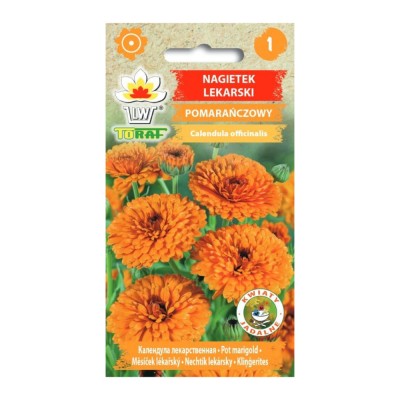 Calendula orange