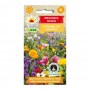 Fragrant flowers mixture | Flower Seeds | Buy flower seeds | ietsGezond.nl