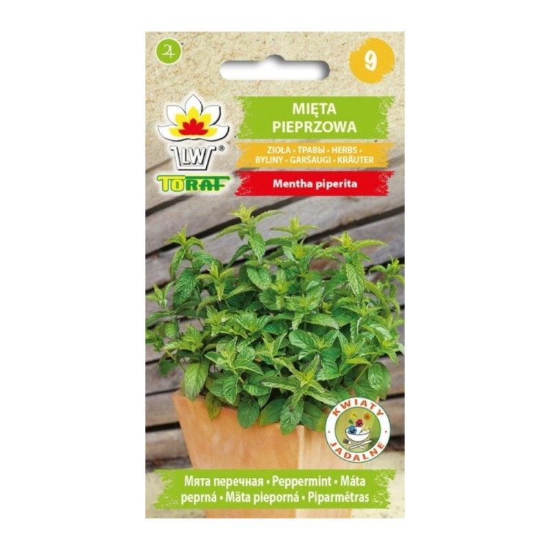 Peppermint | Herbs seeds