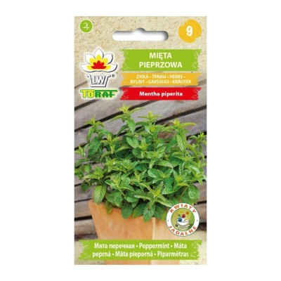 Buy Peppermint Herb Seeds - Fresh Flavor | ietsGezond.nl