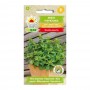 Buy Peppermint Herb Seeds - Fresh Flavor | ietsGezond.nl