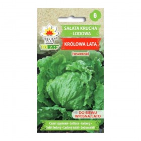 Lettuce iceberg Queen of summer | Vegetable seeds