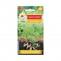 Peanut seeds 5pcs. | Seeds for planting