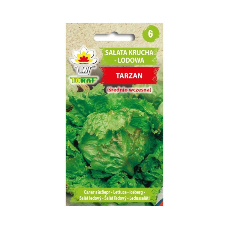 Sałata krucha (lodowa) Tarzan | Nasiona warzyw